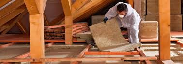 Best Attic Insulation Installation  in Anthony, TX