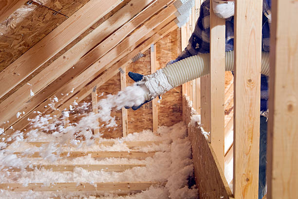 Best Blown-In Insulation  in Anthony, TX